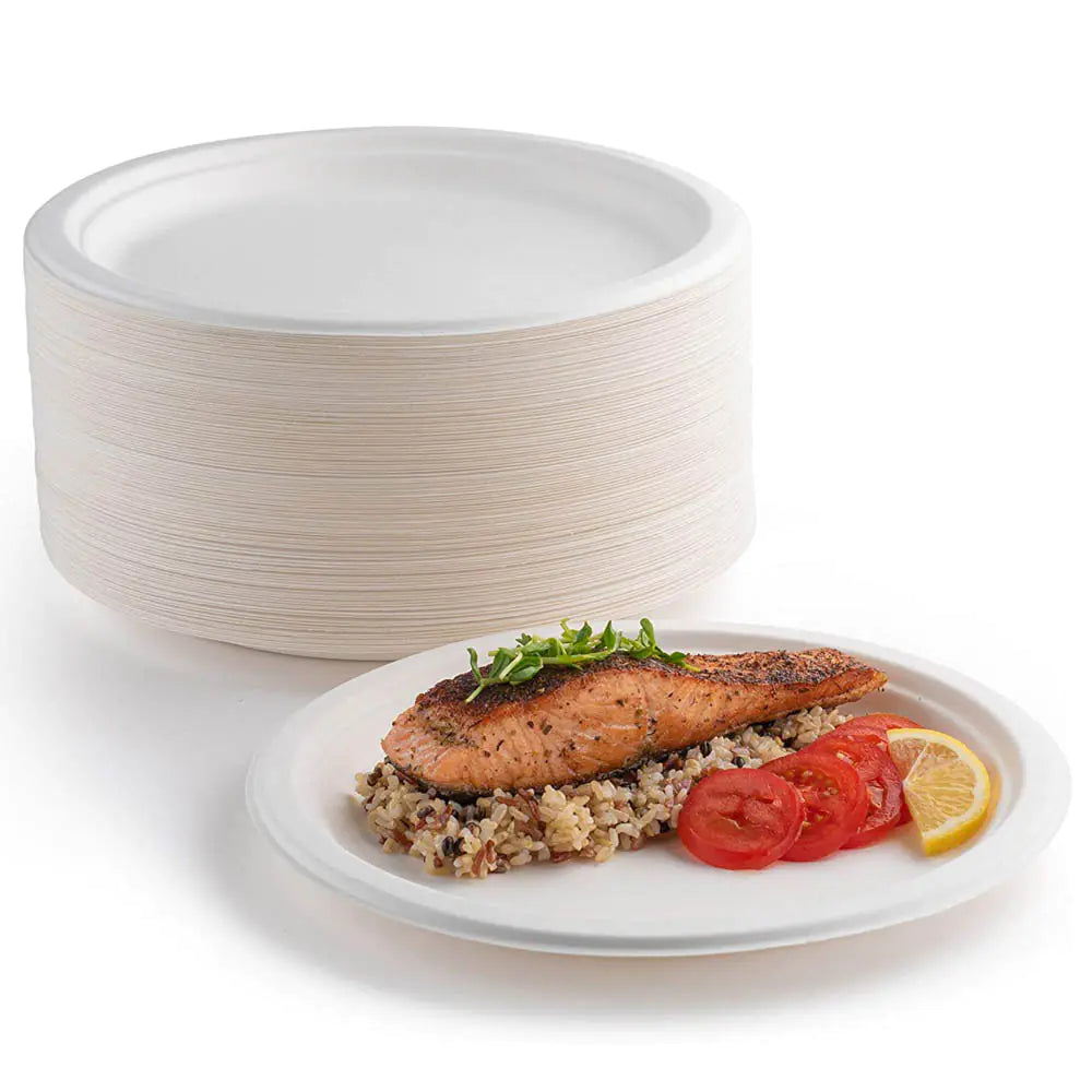 Disposable Paper Plates - Eco-Friendly Dining Solution